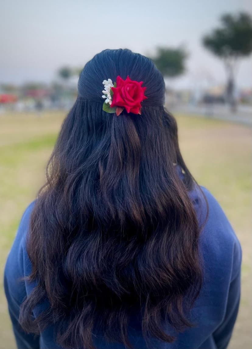 Velvet Rose Hair Pins 